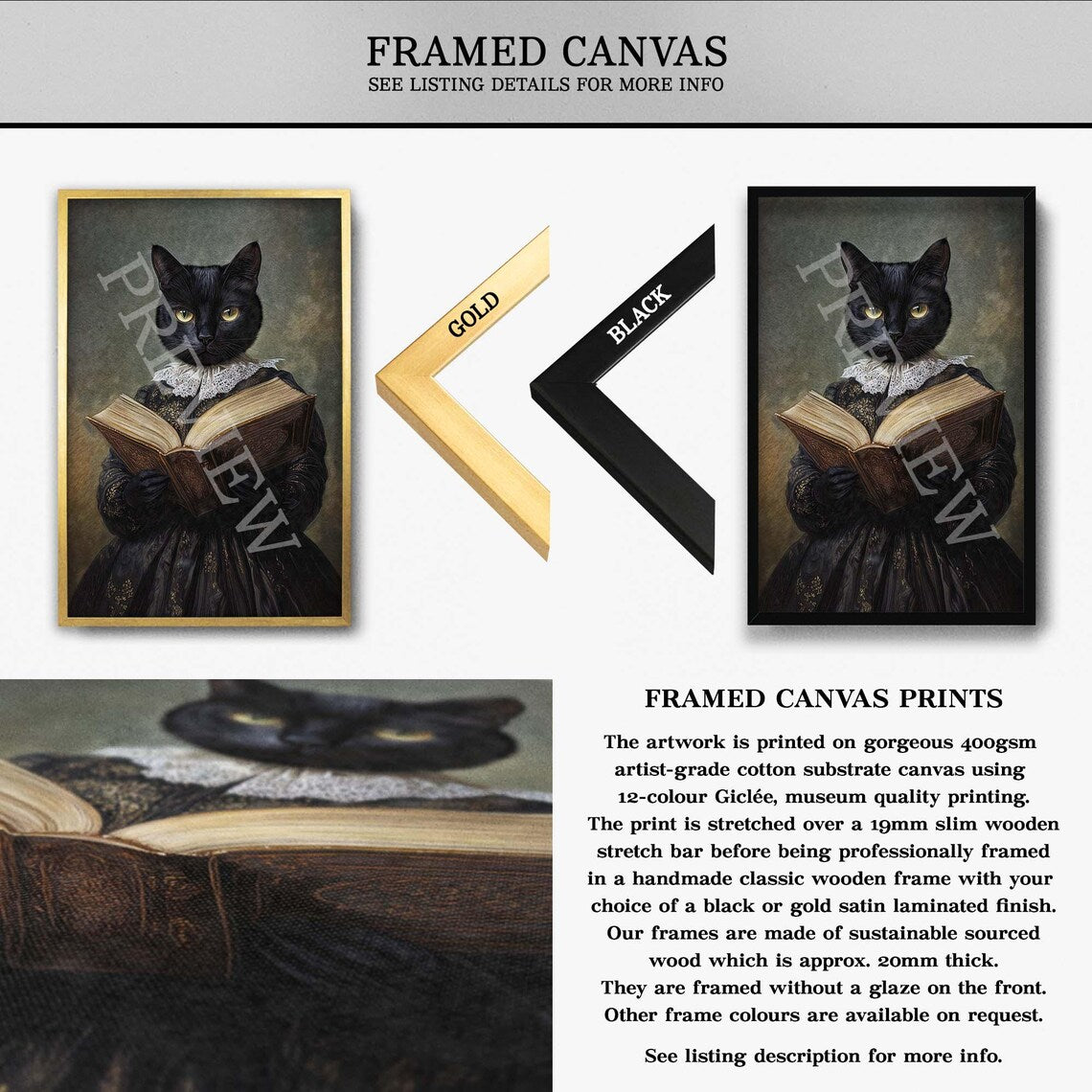 Black Cat Reading Book Framed Canvas by Vintage Panda Designs