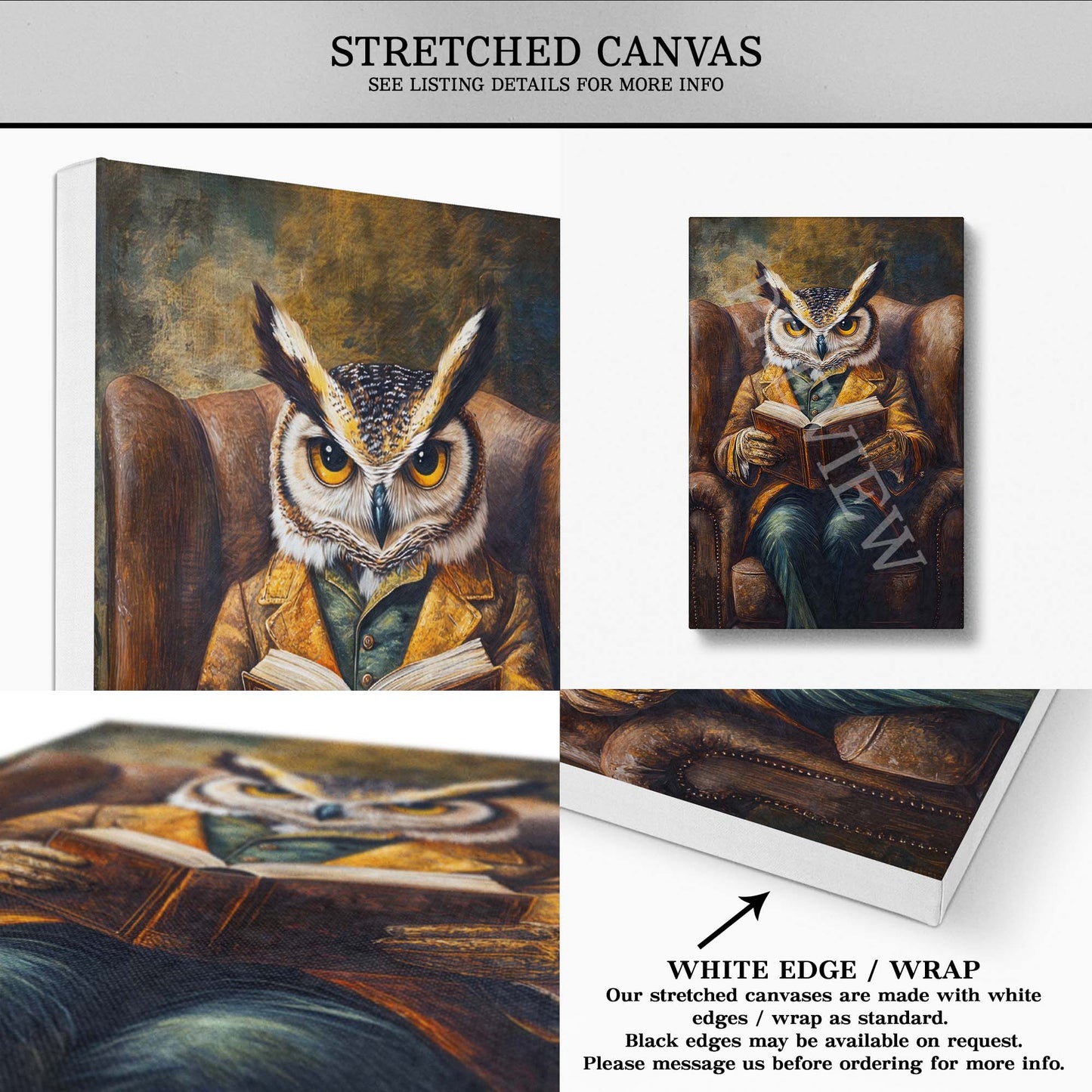 Owl_Reading_Book_Stretched_Canvas_-_Vintage_Panda_Designs