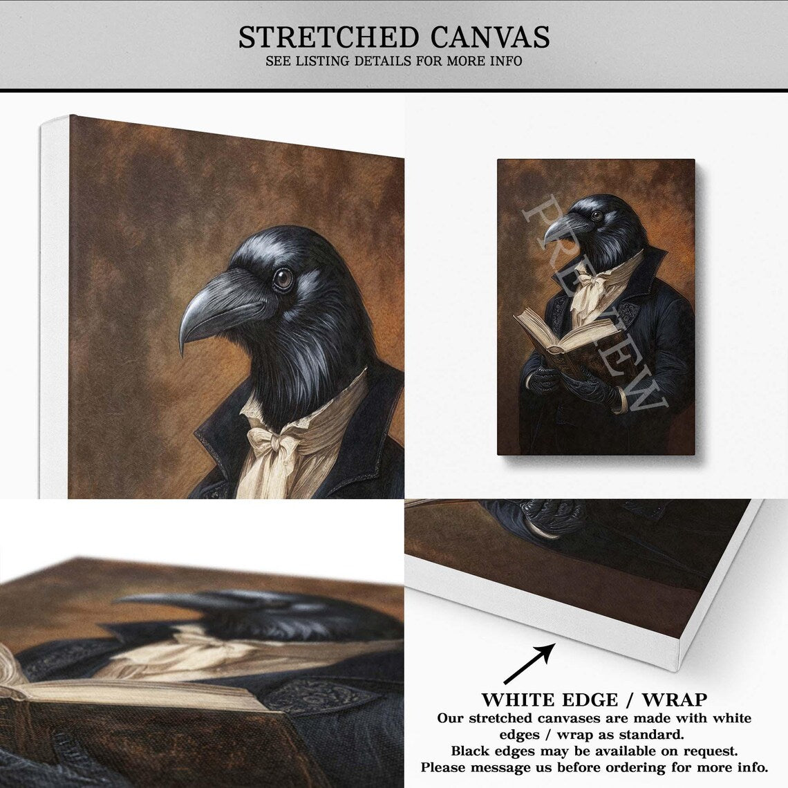 Raven Reading Book Stretched Canvas by Vintage Panda Designs