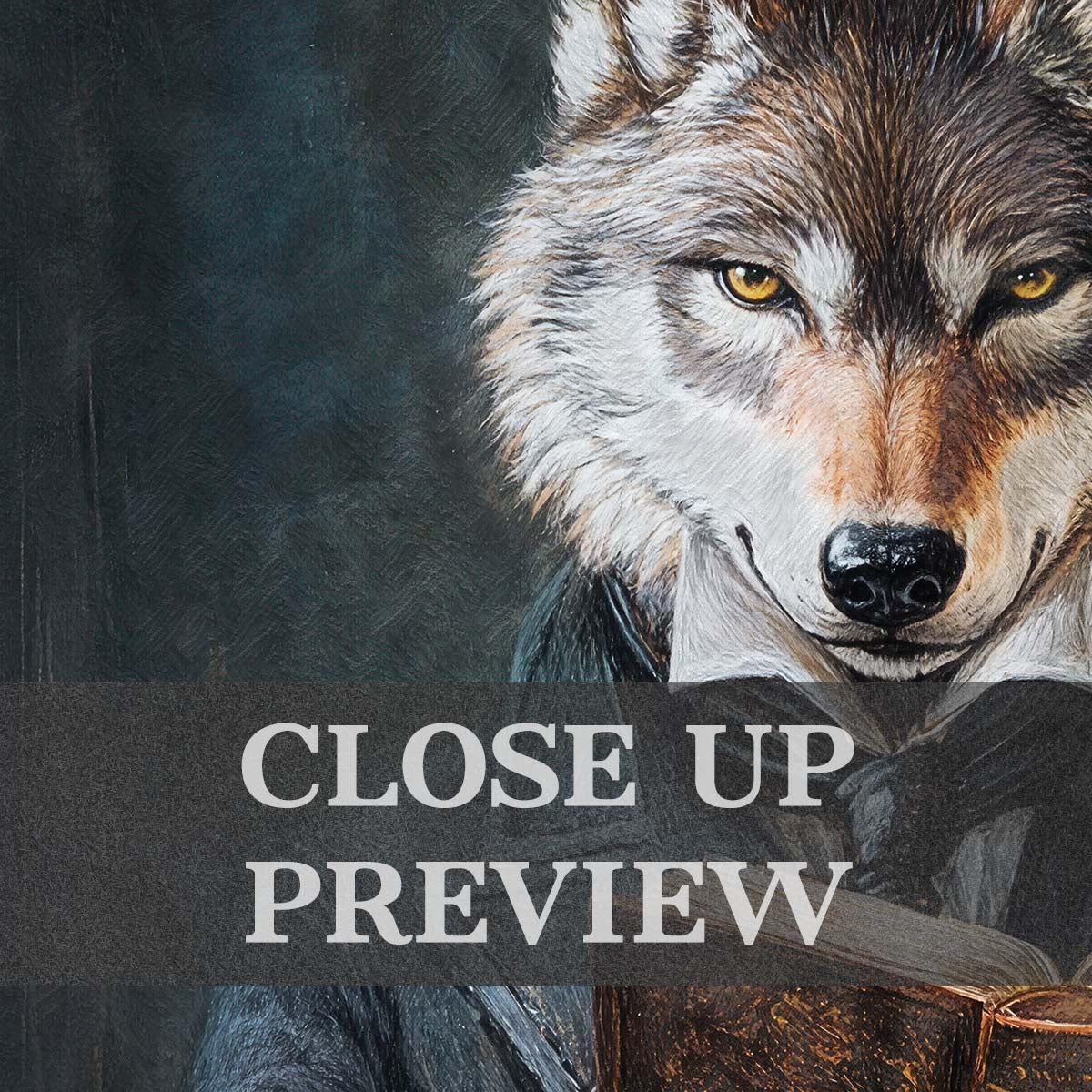 Wolf Reading Book Art Close Up - Vintage Panda Designs