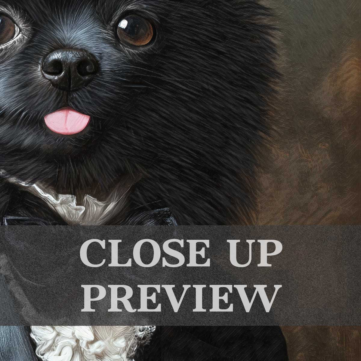Black Pomeranian Dog Gentleman Wall Art Print Close Up by Vintage Panda Designs