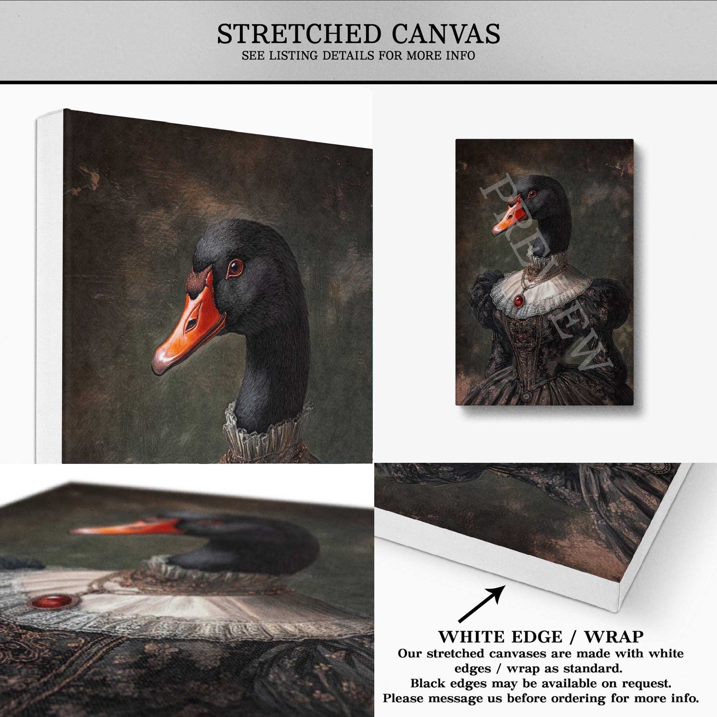 Black Swan Lady Wall Art Print Stretched Canvas by Vintage Panda Designs
