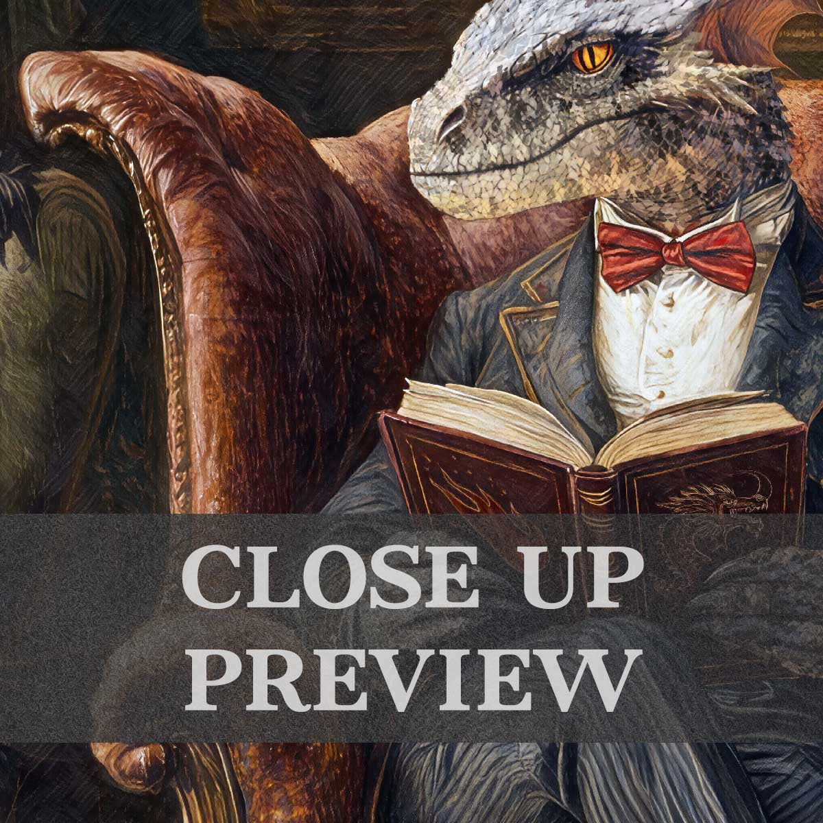 Dragon_Reading_Close_Up_-_Vintage_Panda_Designs