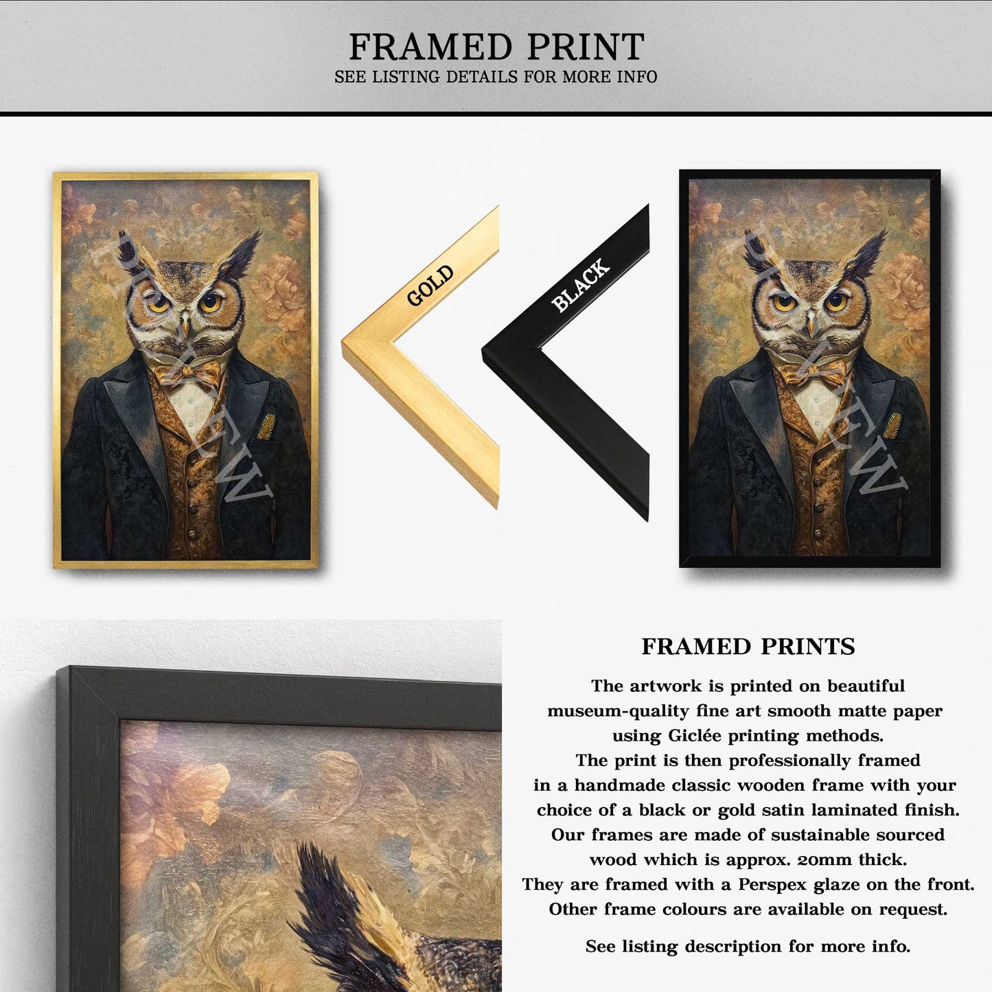 Eclectic Owl Gentleman Framed Print by Vintage Panda Designs