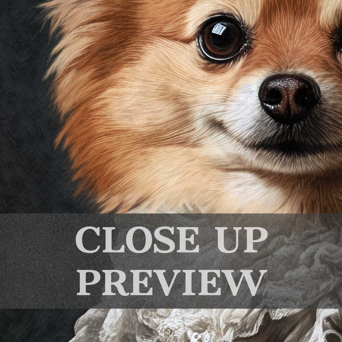 Pomeranian Dog Gentleman Wall Art Print Close Up by Vintage Panda Designs