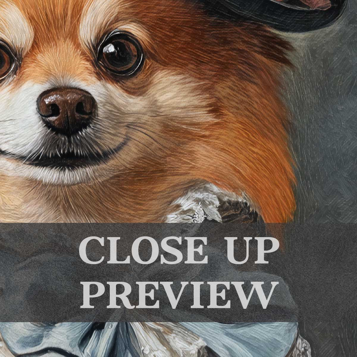 Pomeranian Dog Lady Wall Art Close Up by Vintage Panda Designs