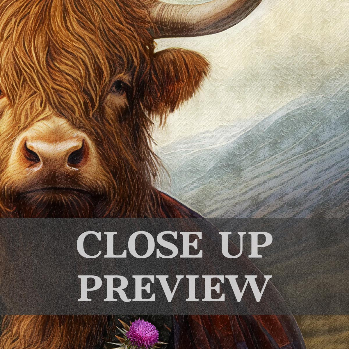 Close-up of a highland cow with a scenic Scottish background 
