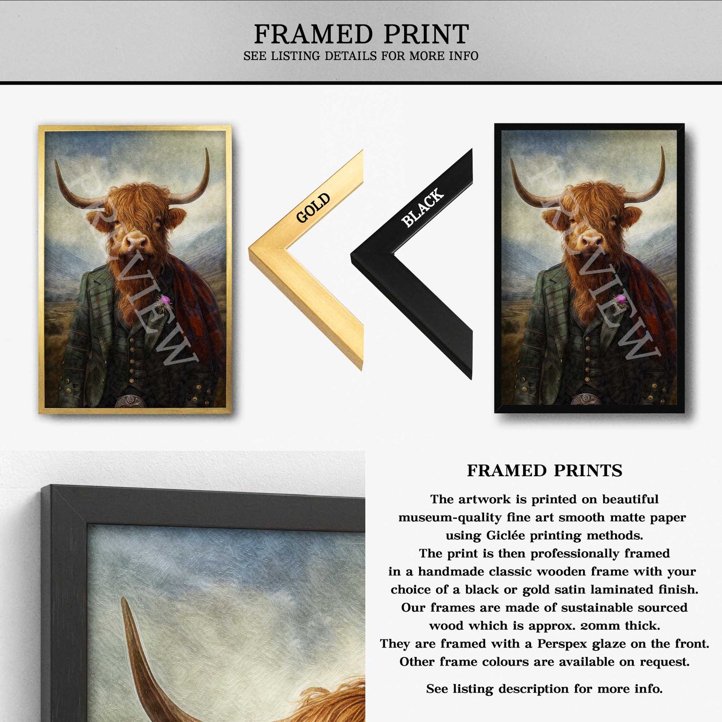 Framed print of a Scottish highland cow with text about frame options and printing details.