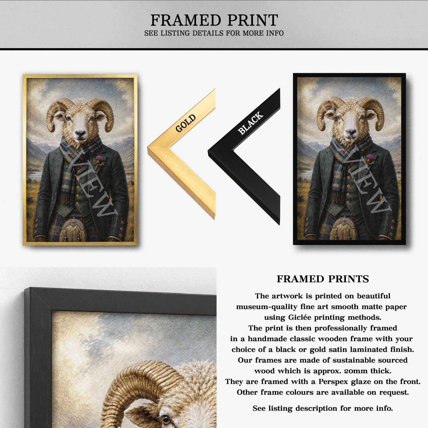 Framed prints of a ram in a suit with gold and black frames.