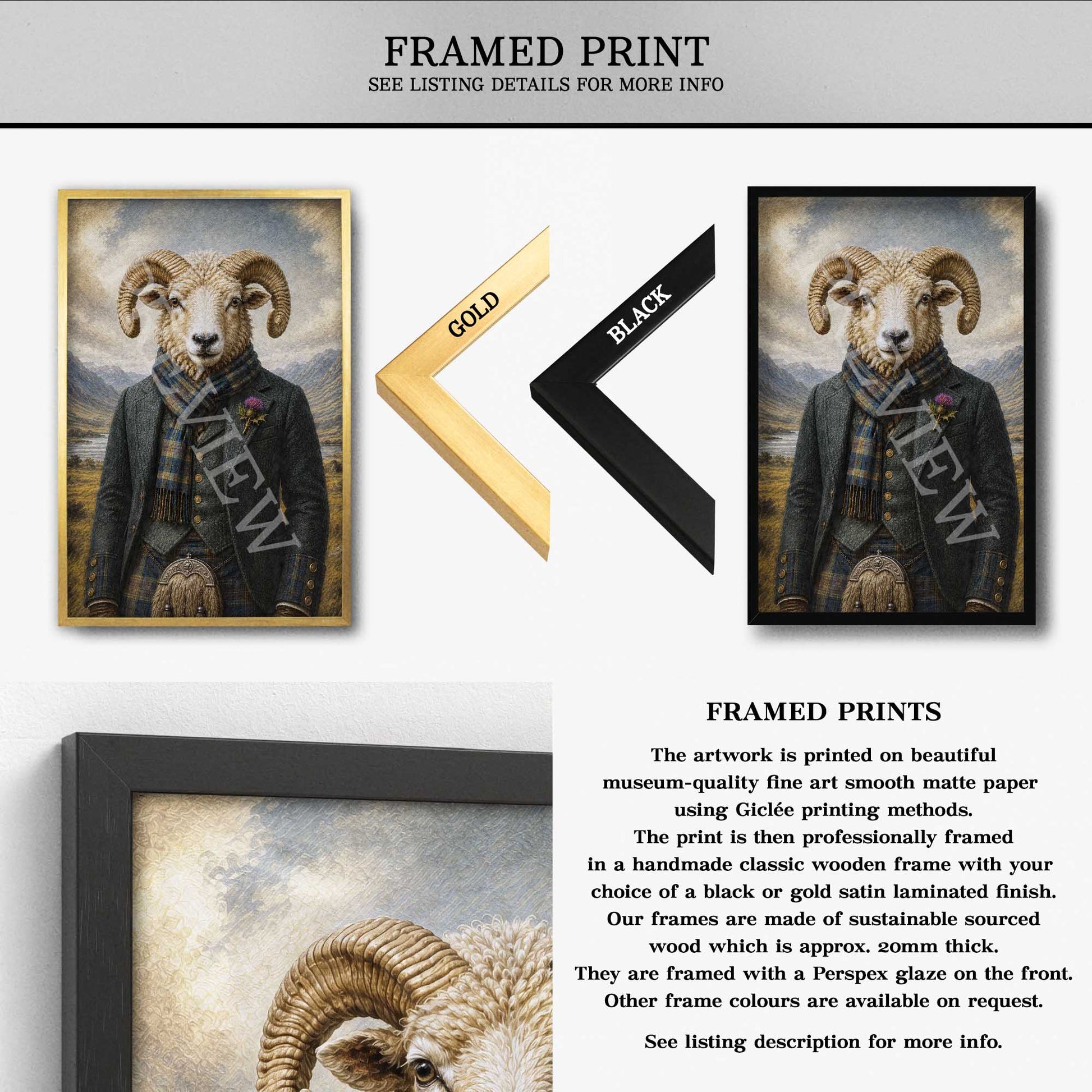 Framed prints of a ram in a suit with gold and black frames.