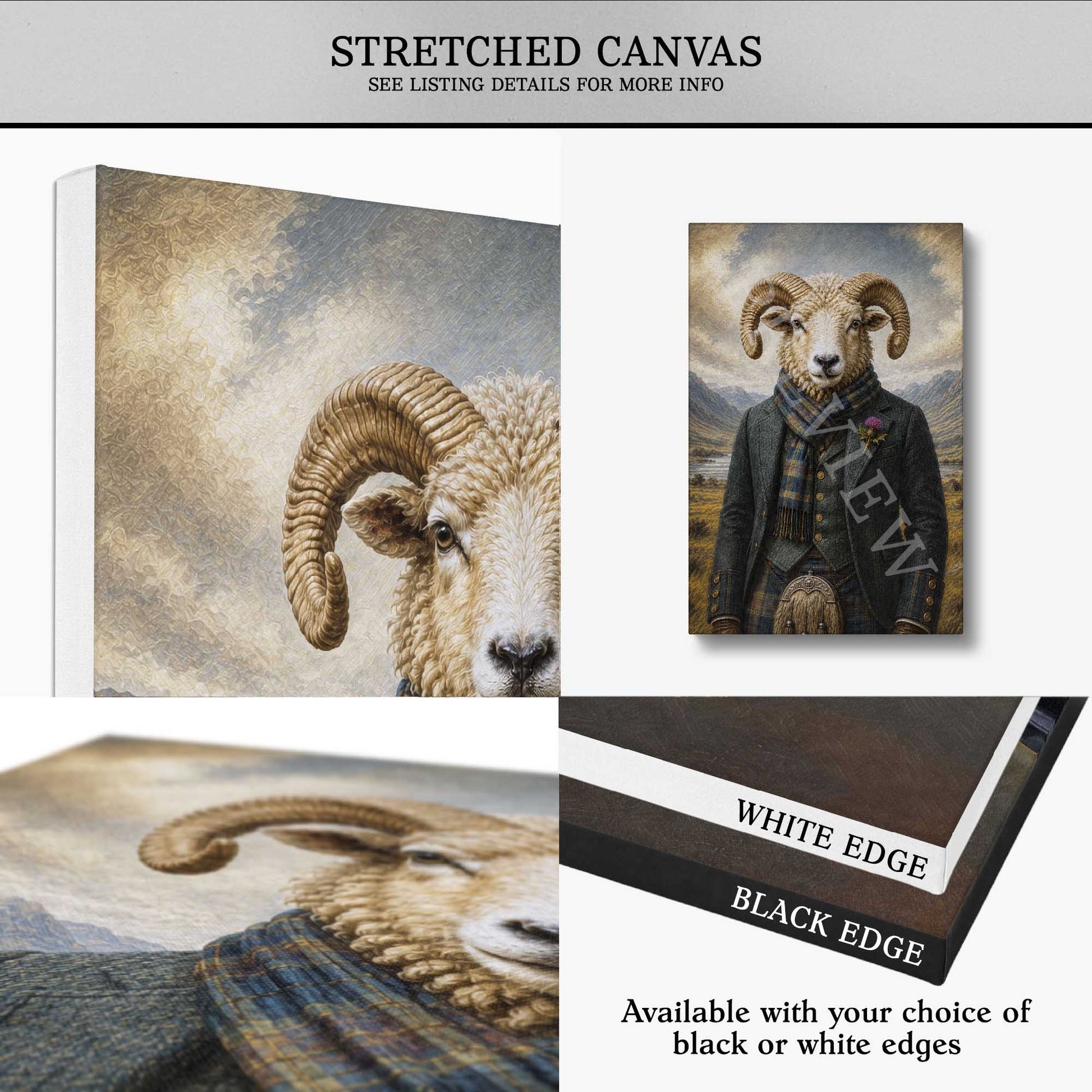 Canvas prints of Scottish ram artwork on stretched canvas with a white edge and black edge, featuring text about canvas options.