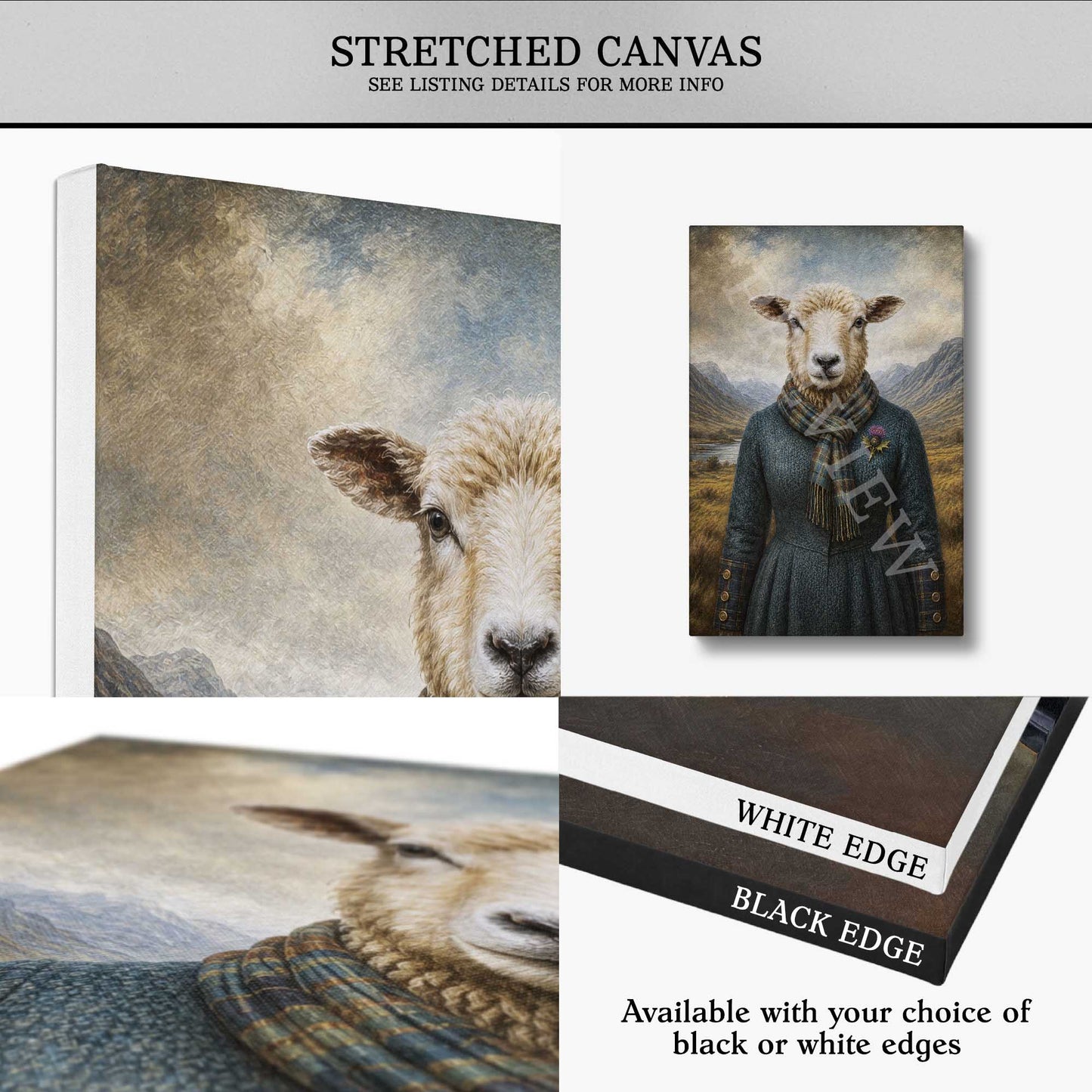Collage of stretched canvas prints with Scottish sheep illustrations, showing white and black edge options.