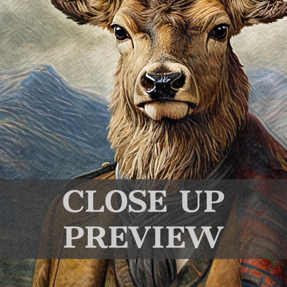 Close-up of a Scottish deer with Glencoe mountains in the background 