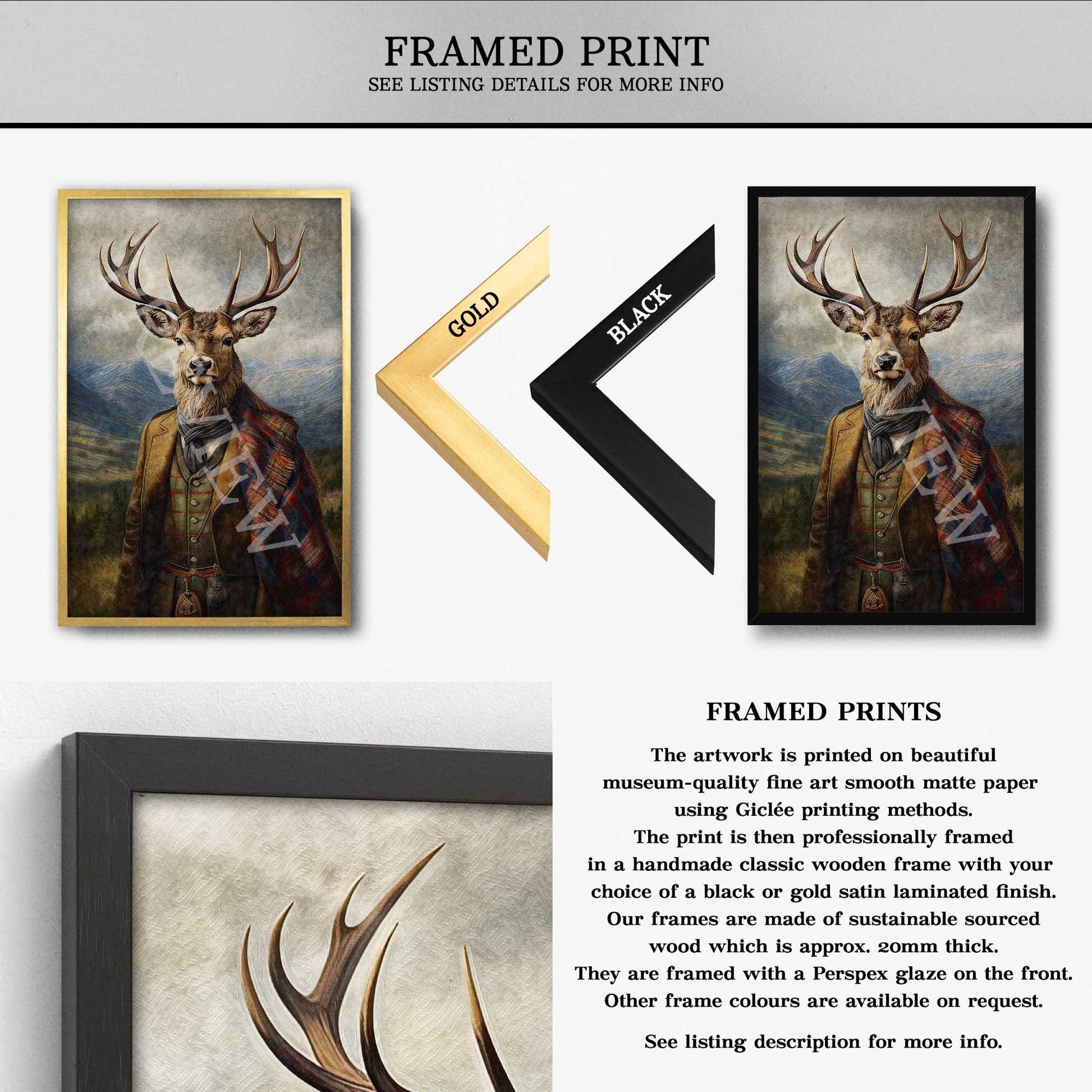 Framed prints of a Scottish stag with black and gold frame color options.