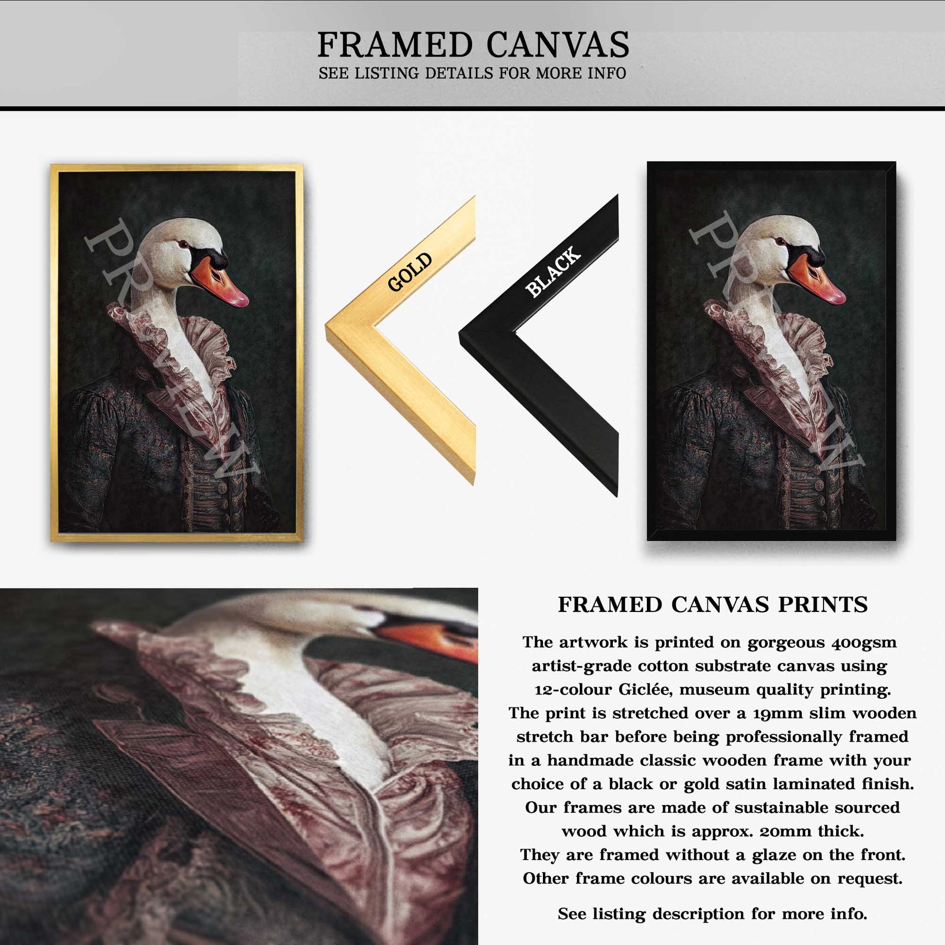 Swan_Gentleman_Framed_Canvas_-_Vintage_Panda_Designs