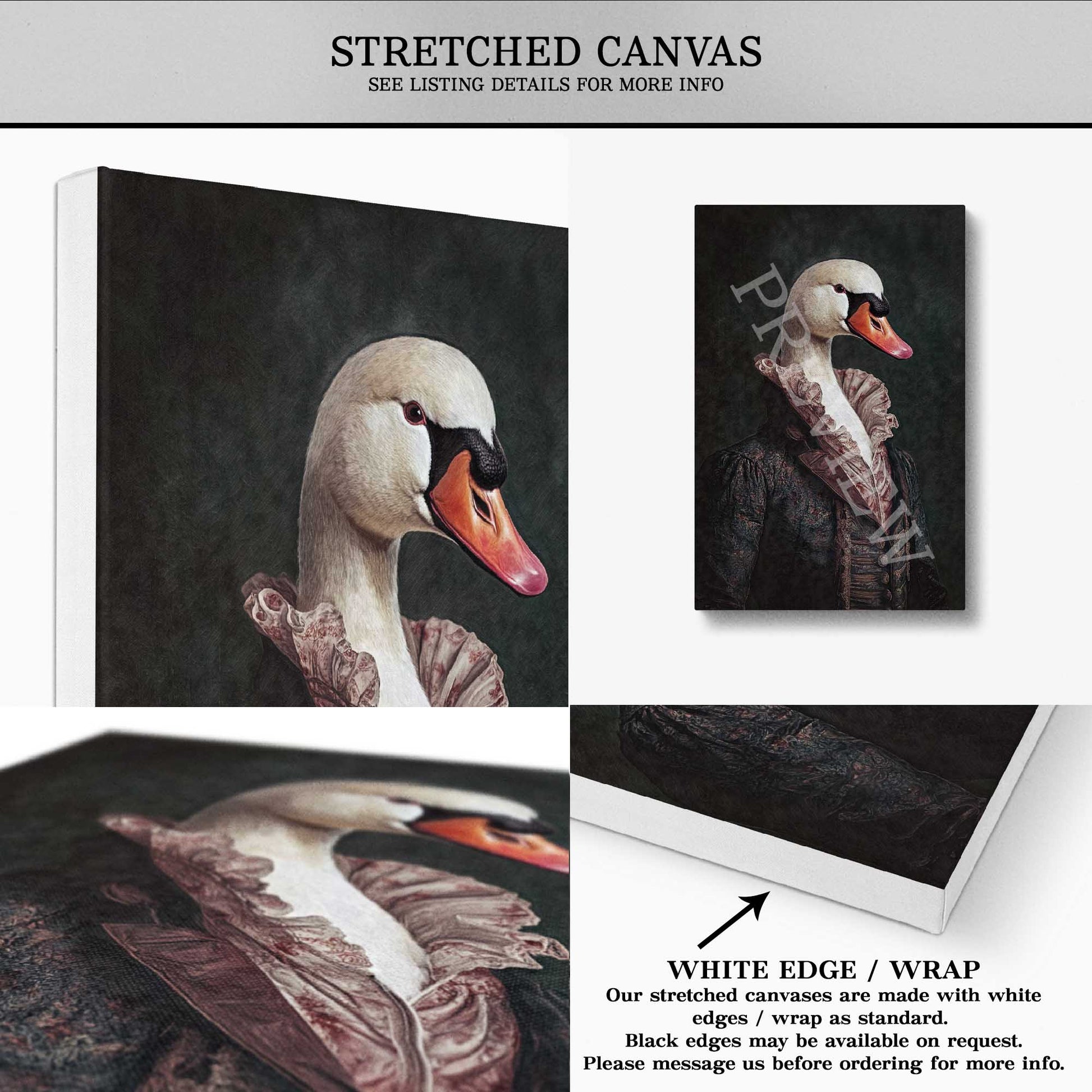 Swan_Gentleman_Stretched_Canvas_-_Vintage_Panda_Designs