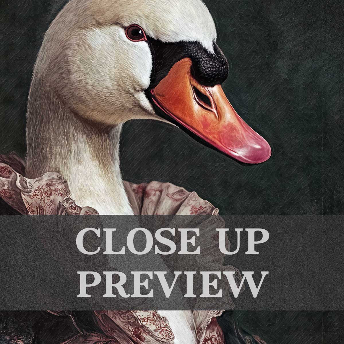 Swan Gentleman Wall Art Print Close Up by Vintage Panda Designs