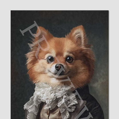 Pomeranian Dog Gentleman Wall Art Print